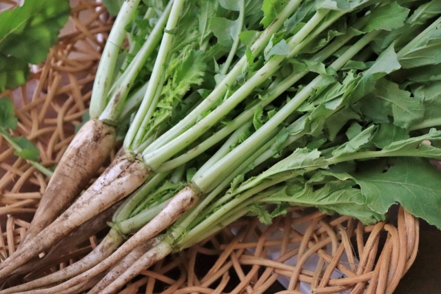 立石野菜スープ用の大根の葉は育てるのが良い